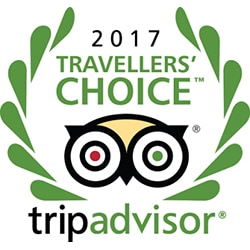 2017 Travellers Choice award emblem design