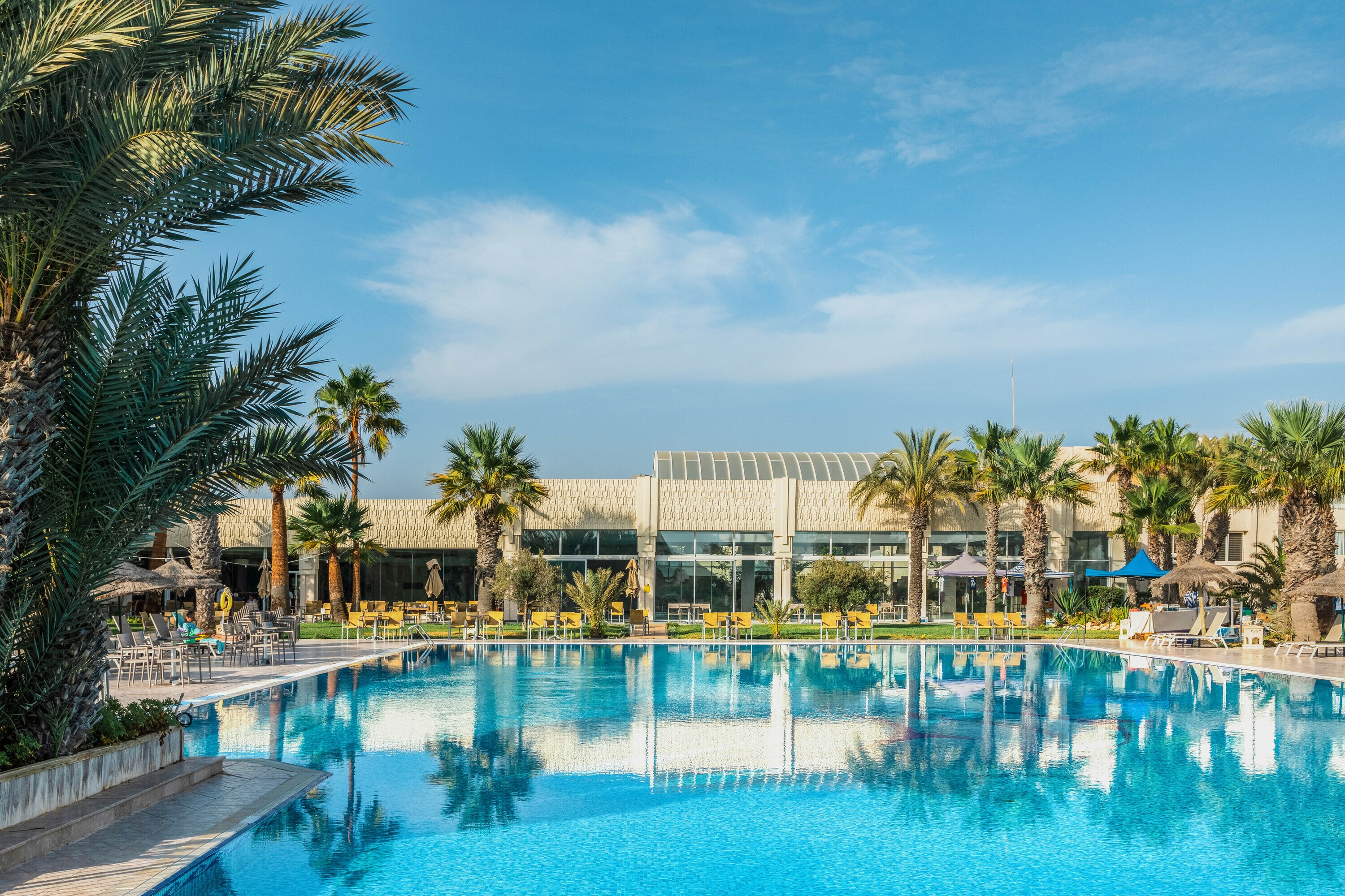 Luxury resort swimming pool with palm trees and lounge chairs