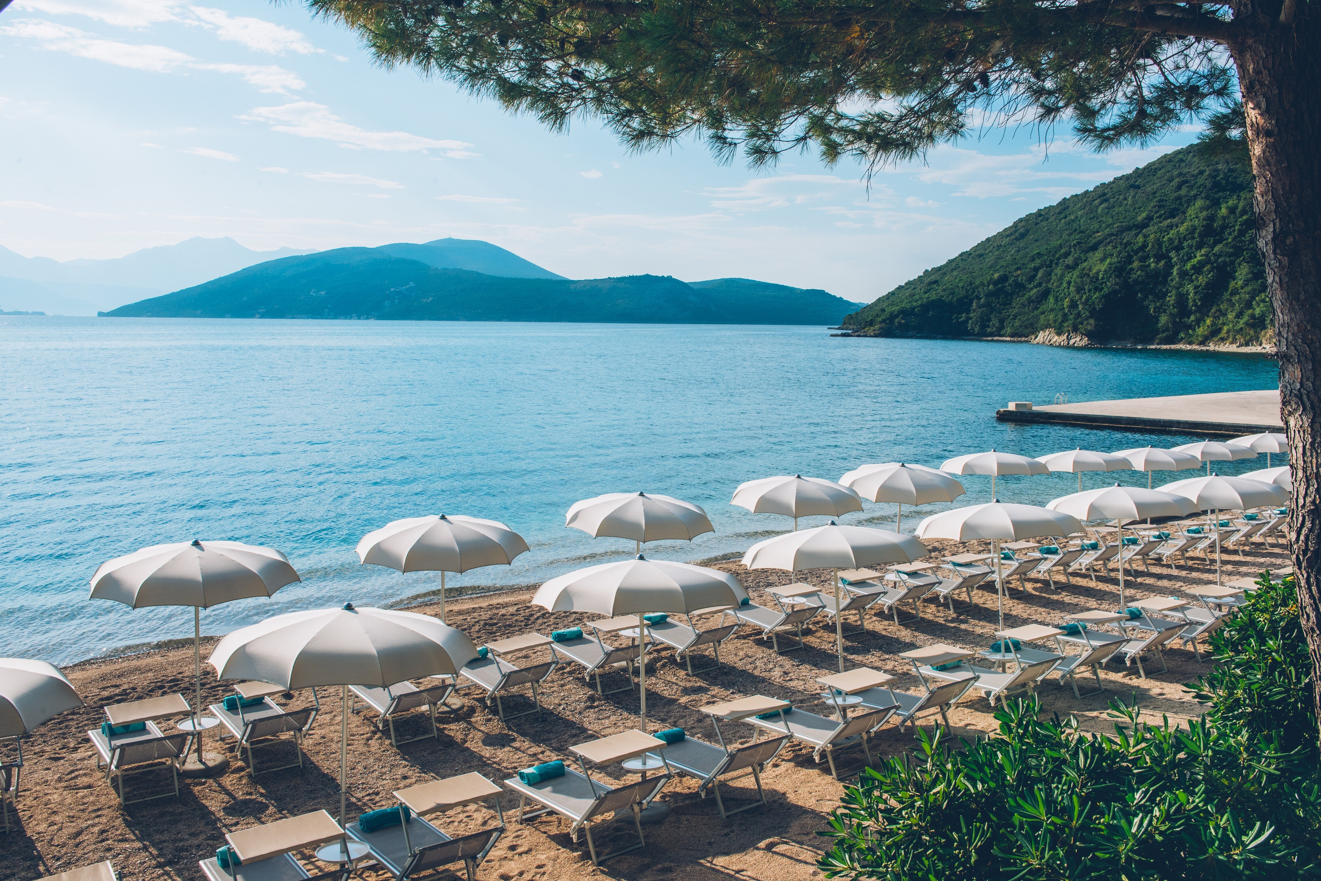 Sunny beach with rows of white umbrellas and chairs